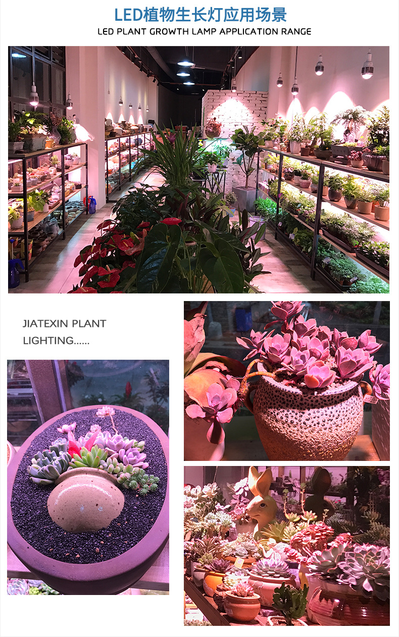 1646903496189961.jpg 21718454743_1569344574.jpg